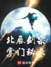 北辰剑宗掌门秘录